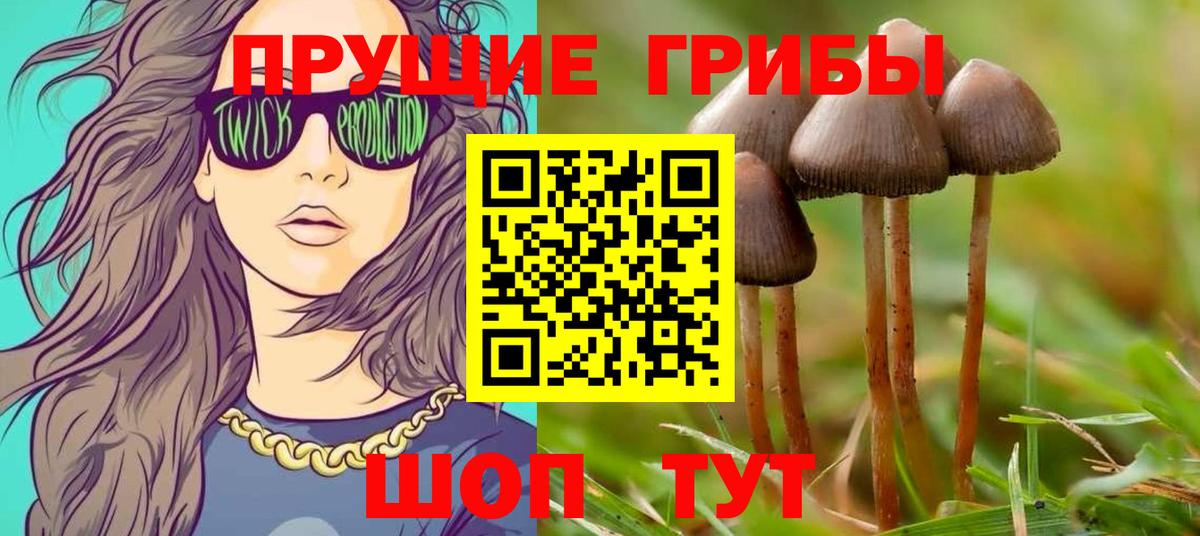 Псилоцибиновые грибы ЛСД  Вход с VPN  Галлюциногенные грибы мухоморы  Карталы 